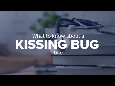 What happens if you get kissed by a kissing bug?
