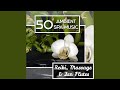 Ambient Spa Music