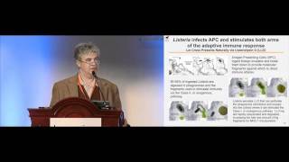 Prophylactic vaccines: Microbial Active Immuno-Therapy (MAIT)- Dr John Rothman