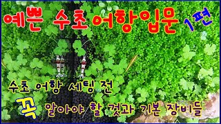 수초어항에 꼭 필요한 용품들 알아보기-수초입문 1편 세팅전 준비물들-