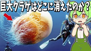 2000年代初頭に世間を大きく騒がせた巨大クラゲ「エチゼンクラゲ」はどこに消えたのか？【ずんだもん解説】