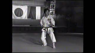 Unshu kata by Kamohara Tsutomu sensei - Shukokai - France 1993