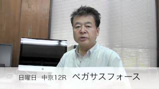 競馬ブック　海士部彰　ＴＭの推奨馬（2012年６月30日）