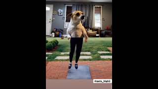 The dog is tap dancing#dog#shorts