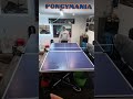 pongymania 2025 pingpong violence in auckland tabletennisshorts aucklandlive tabletennisexperts