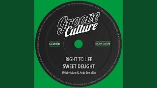 Sweet Delight (Micky More \u0026 Andy Tee Extended Mix)