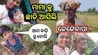 last ଦିନ ଆମ ନୂଆଁ ଆମ୍ବ ବାଡ଼ି ଦେଖି ଗଲି ଜେଜେ ବାପା ଜେଜେମା ସହ ଦେଖା @odishavloggerrisma7731