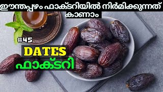 ഈന്തപ്പഴം ഫാക്ടറിയിൽ നിർമിക്കുന്നത് കാണാം | dates factory | factory digest malayalam