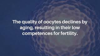 Resveratrol Treatment Restored Quality of Oocytes in Aging Mice | Aging-US