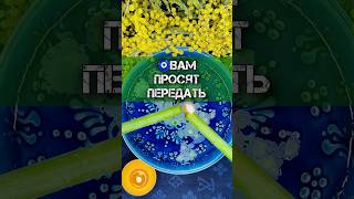 🧿ПОСЛАНИЕ ВСЕЛЕННОЙ ДЛЯ ТЕБЯ❗️В ТРЕНДЕ ГАДАНИЕ НА ВОСКЕ #гаданиенавоске #гадание #втренде