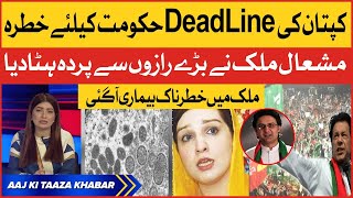 Faisal Javed Angry Statement | Imran Khan Warns Shehbaz Govt | Mashal Malik Exclusive Talk