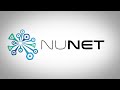 NuNet: A Global Economy of Decentralized Computing