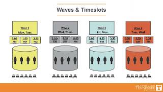 2026 UTK Housing Room Selection Process Overview