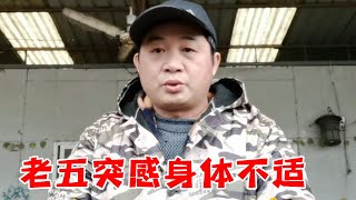 老五突感身体不适，和慧慧一起去医院治疗，希望粉丝谅解【老五和流浪狗的故事】