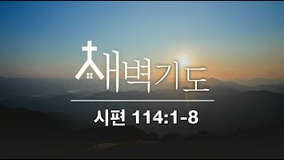 [포항큰숲교회] 24.12.26  새벽기도회