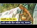 ৬০ দিন তারা একটি নির্জন দ্বীপের মাঝে আটকা পরে, তারপর | Movie Explained In Bangla | Survival Story