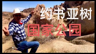 约书亚树国家公园JOSHUA TREE NATIONAL PARK