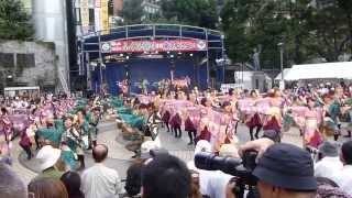 東京よさこい　池袋ふくろ祭り　西口公園　１日目　早稲田大学　東京花火