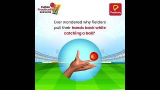 Science Behind Catching A Ball Safely | IPL Lessons | Practically App