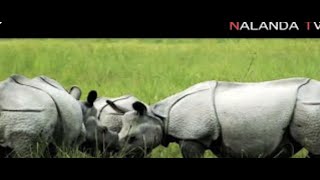 MUST SEE HAILAKANDI | ASSAM | INDIA