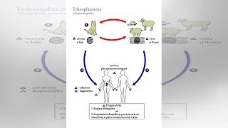 Toksoplazmoza
