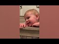 The Cutest Babies Compilation - Cute Baby Videos