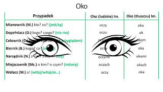 Rzeczownik, lekcja 3  (osobliwości w odmianie rzeczowników)