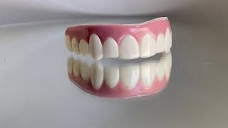 Rotating Imako® Teeth | Small Bleached