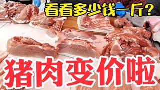 猪肉变价太吓人，看3月8日集市上卖多少钱一斤？大吃一惊~带你们看每天中国菜市场物价【茉茉妈vlog】