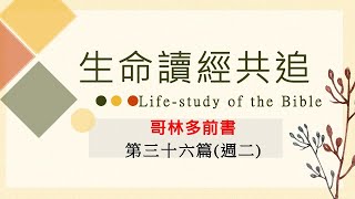 【生命讀經共追】哥林多前書第36篇週2