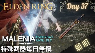 Elden Ring Malenia SOLO No Damage Everyday until DLC | Day 37 Royal Greatsword