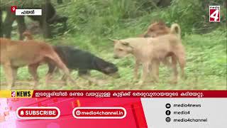 തളിക്കുളം ഇടശ്ശേരിയില്‍ രണ്ടര വയസ്സുള്ള കുട്ടിക്ക് തെരുവുനായയുടെ കടിയേറ്റു.