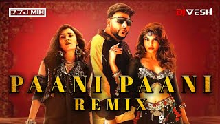 PAANI PAANI (Remix) - DDJ MIX- Bollywood 2021 Mix