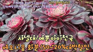 예뿐아이천국/대박50~20%할인/핑크마녀. 이화랜드010-3339-2461 나는농부다282회출연