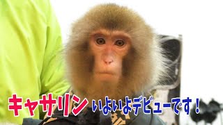 キャサリンいよいよデビューします！赤ちゃんハウスから２年巣立ちの時です！