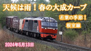 2024年5月13日　天候は雨、芽室ー大成を走る列車達　特急おおぞら・特急とかち・DECMO・DF20　JR北海道根室線にて