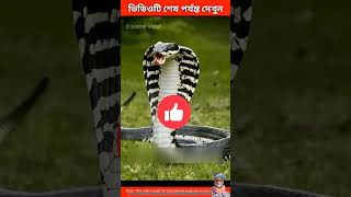 আচ্ছা আপনি যে শরীরে কামড় দিলে কি হয় দেখুন #new #funny #video #shorts #comedy #youtubeshorts