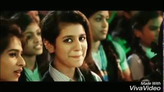 Oru Adaar Love | Manikya Malaraya Poovi Song Video| Vineeth Sreenivasan, Shaan Rahma Prakash Varria