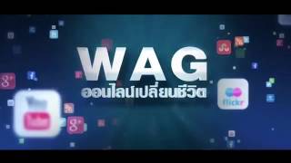 ผลลัพธ์ระบบ WAG