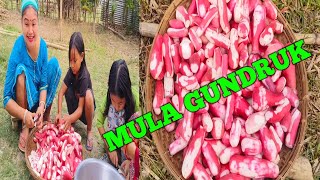 MuLa GUNDRUK Nepali Style || 15 K G MuLa GUNDRUK BanaiBai || OMa Bedor Jahw Bai MuLa Hagra Phwrnw ||