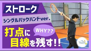 【“見て上達するテニス”】ストローク/“打点に目線を残す”...なぜ？そうするの？(片手バックハンド編)