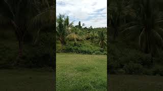 Over Views Here Al Yosan North Cotabato #amazing #views #farm