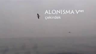 Alonisma Vtet - Çekirdek [ Official Teaser © 2017 Z Müzik ]