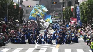 2019船橋市民まつり／市立船橋吹奏楽部(本町)