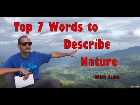 Is Forest an adjective or noun?