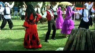 Dil Tujhpe Aa Gaya (Full Song) Film - Dil Hai Ke Manta Nahin