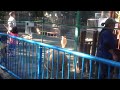 綺麗なセキセイインコ。こども動物園高島平分園 映像と声日記