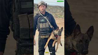 🇺🇸Police Dog Training: Max in Action”#fy #fyp #dogsof #guarddog #policedog #dogtraining #k9 #viral