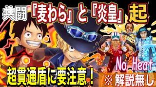 【サウスト】共闘  『麦わら』と『炎皇』　起 〜盾反射に注意‼️〜