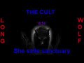 the cult she sells sanctuary extended wolf